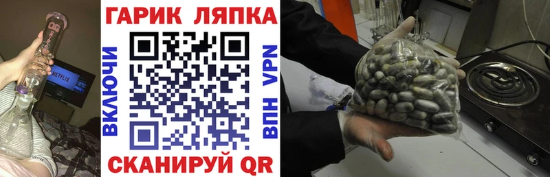 Гашиш Cannabis  Вытегра 