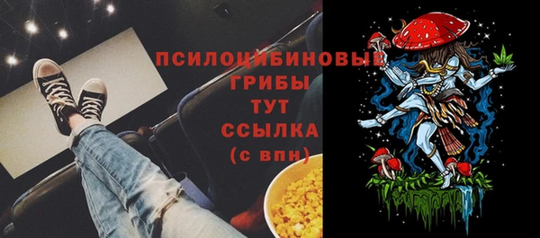 хмурый Абинск