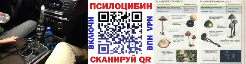 цена наркотик  Вытегра  Галлюциногенные грибы GOLDEN TEACHER 